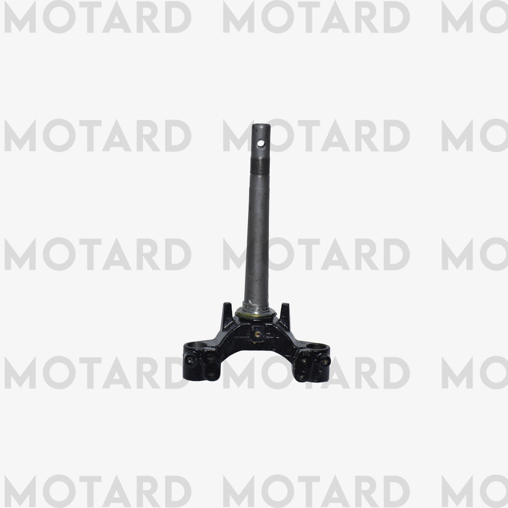 T DE FOURCHE – V10